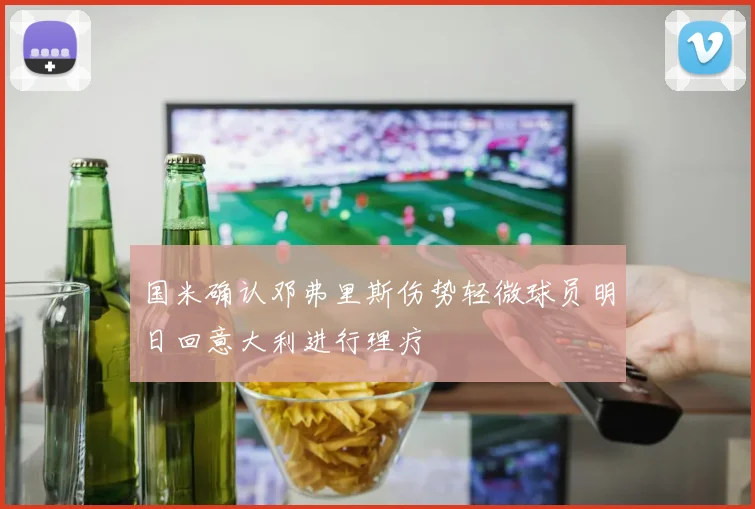 国米确认邓弗里斯伤势轻微球员明日回意大利进行理疗