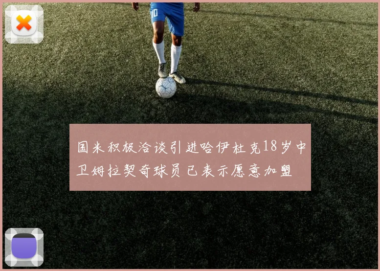国米积极洽谈引进哈伊杜克18岁中卫姆拉契奇球员已表示愿意加盟